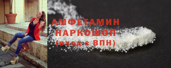 сатива Кукмор