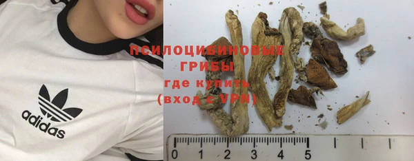 дурь Каменск-Шахтинский