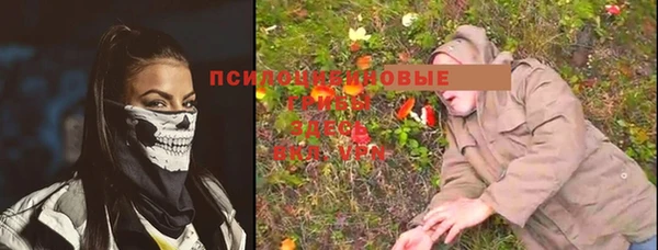 сатива Кукмор