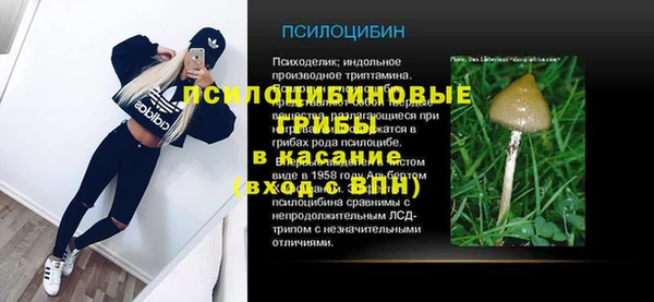 a pvp Каменка