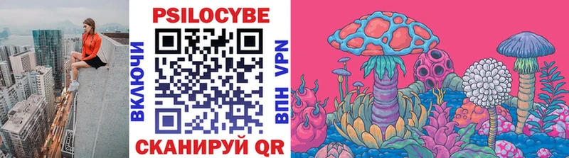 shop формула блэк спрут Лесосибирск Псилоцибиновые грибы Psilocybe