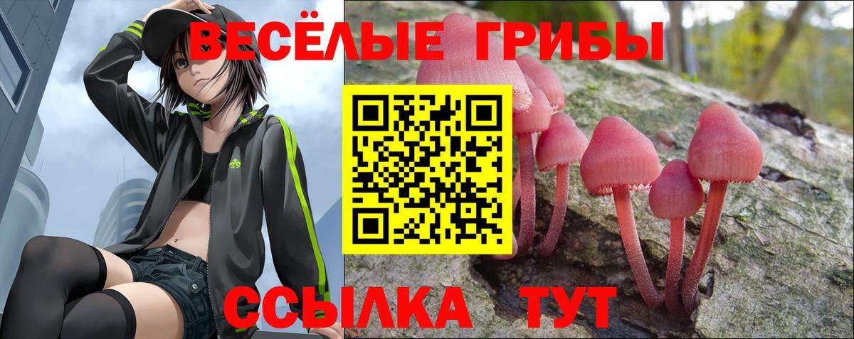Псилоцибиновые грибы мицелий Лесосибирск